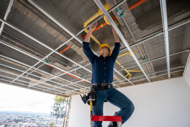 Best Leak Detection Services  in Biltmore Forest, NC